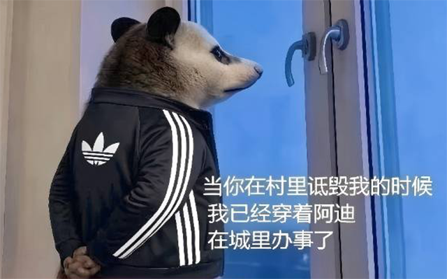 拿阿迪进城办事聊聊,为什么品牌要走群众路线 拿阿迪进城办事聊聊,为什么品牌要走群众路线