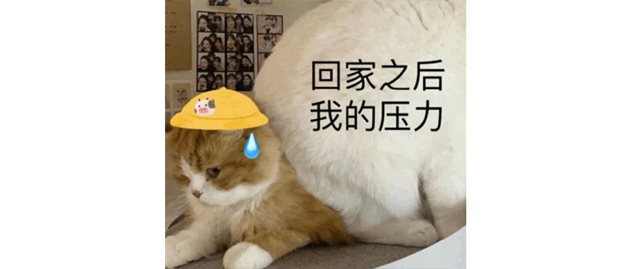 高考填报志愿指导课程，最大的用处是背锅