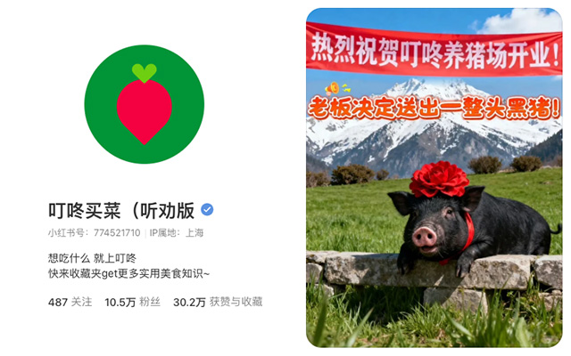 叮咚买菜的小红书，你学不来
