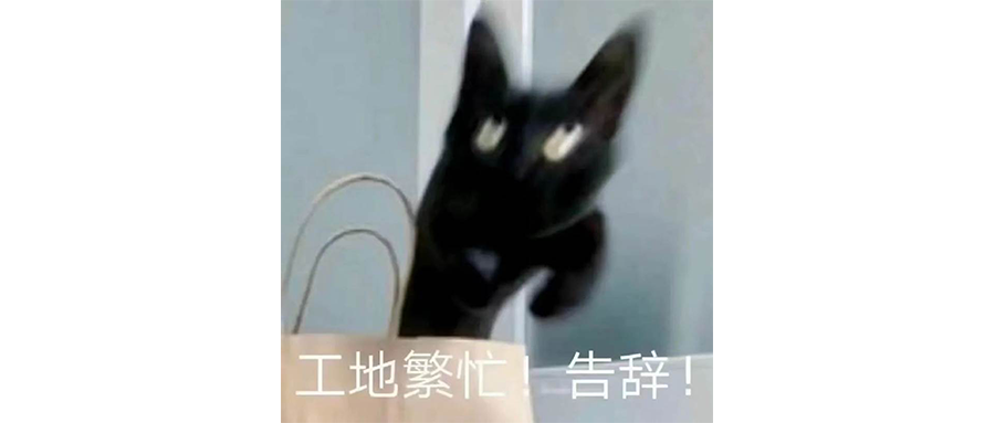 鹅腿阿姨治好了我的精神内耗