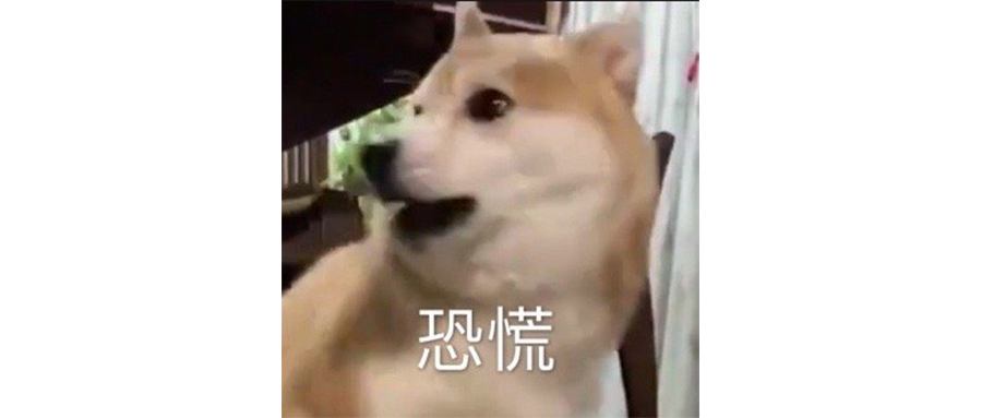 钉钉挨骂，并不奇葩