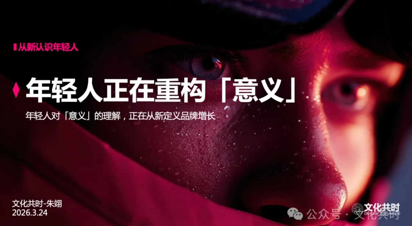 朱翊研究：《年轻人正在陷入意义危机 》报告 pdf下载
