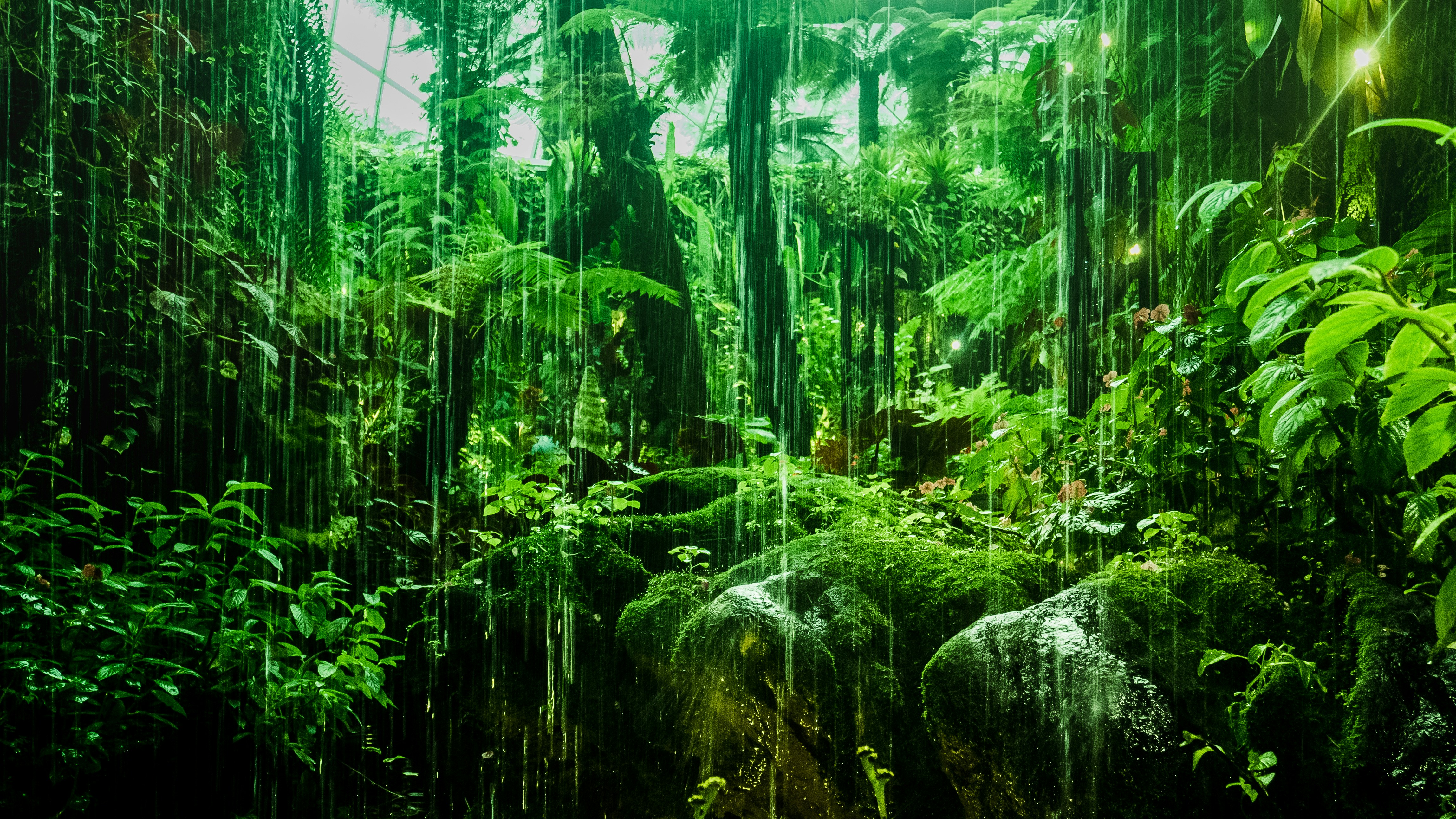 稳稳的根，意义的网：苔藓、格桑花、藤蔓与蒲公英的一次对话