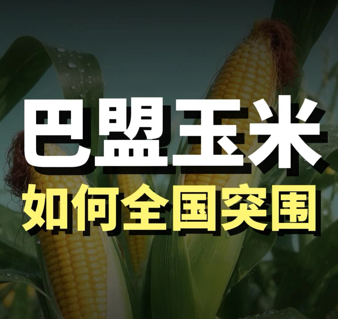 蓝爷说品牌：巴盟玉米，如何在千亿玉米赛道中实现侧翼突围
