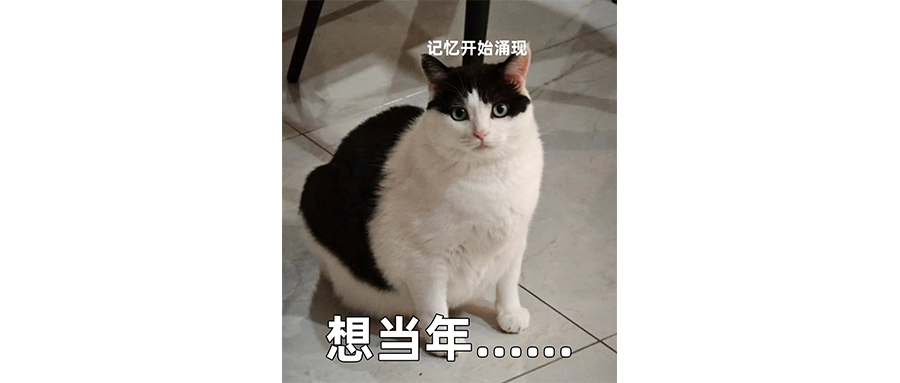 马斯克拿特斯拉7800亿的报酬，贵吗？