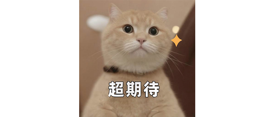 火影手游应该抓紧联名咒术回战