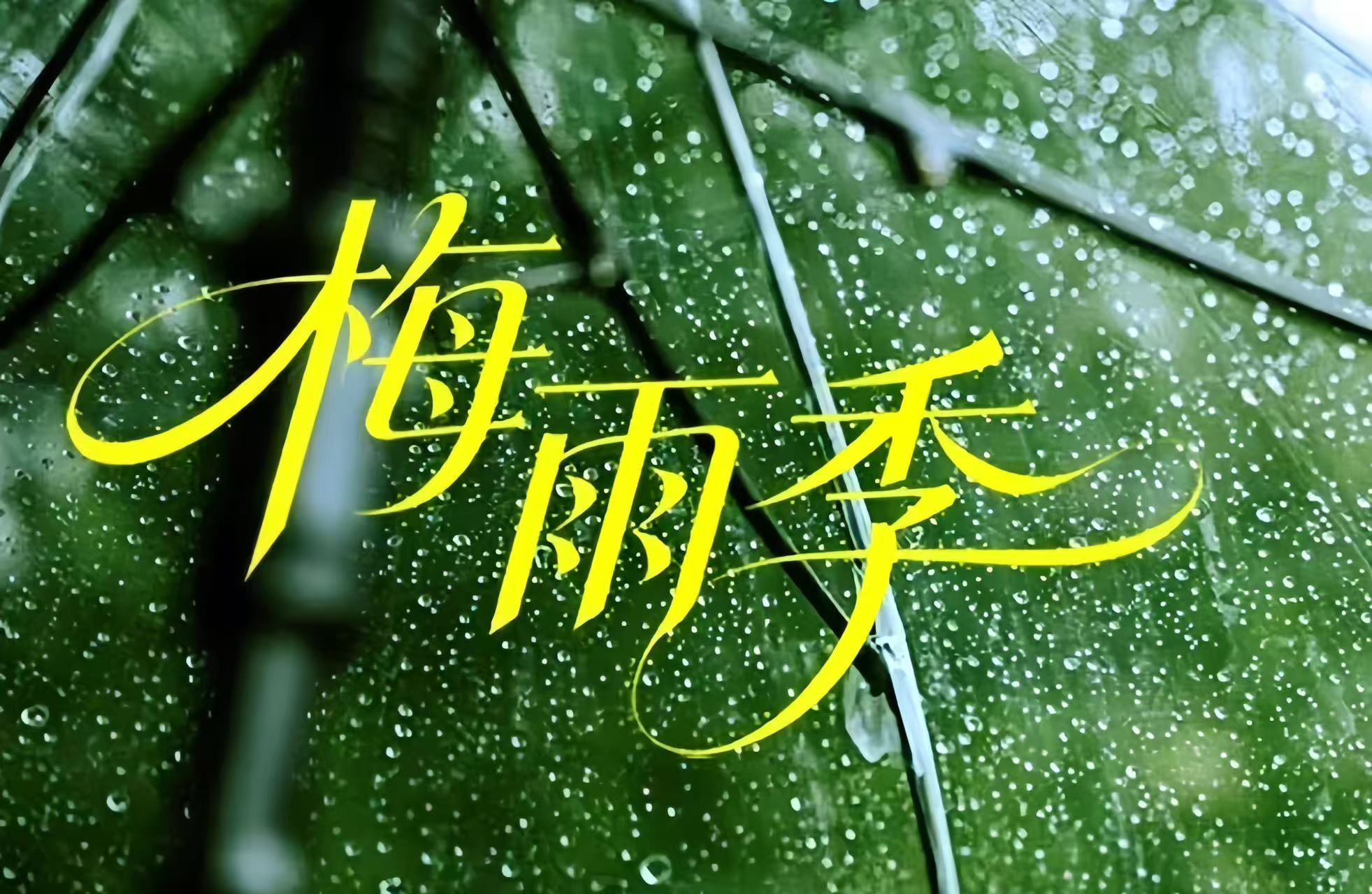 进入梅雨季，一些不用晒干的文学
