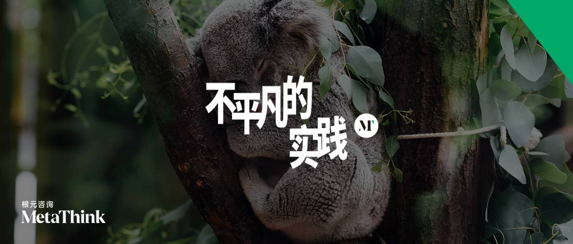 不平凡的实践 | 红山动物园Vol.1：一场游园所见，读懂生命的松弛与尊重