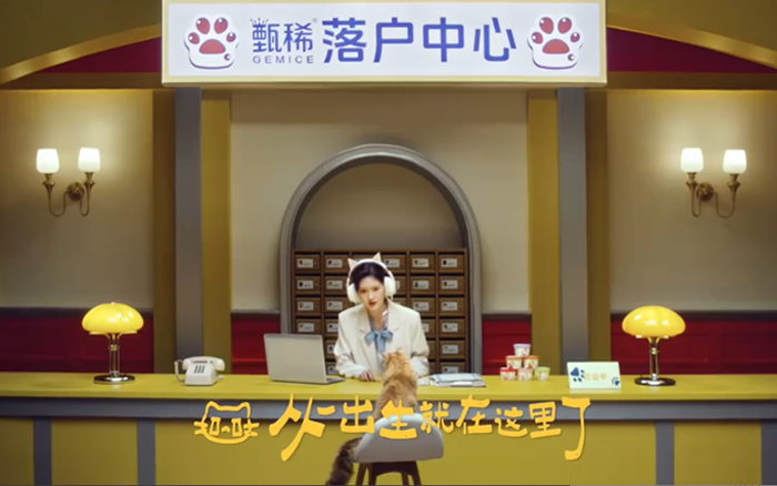 甄稀公益全面升级：流浪动物落户计划