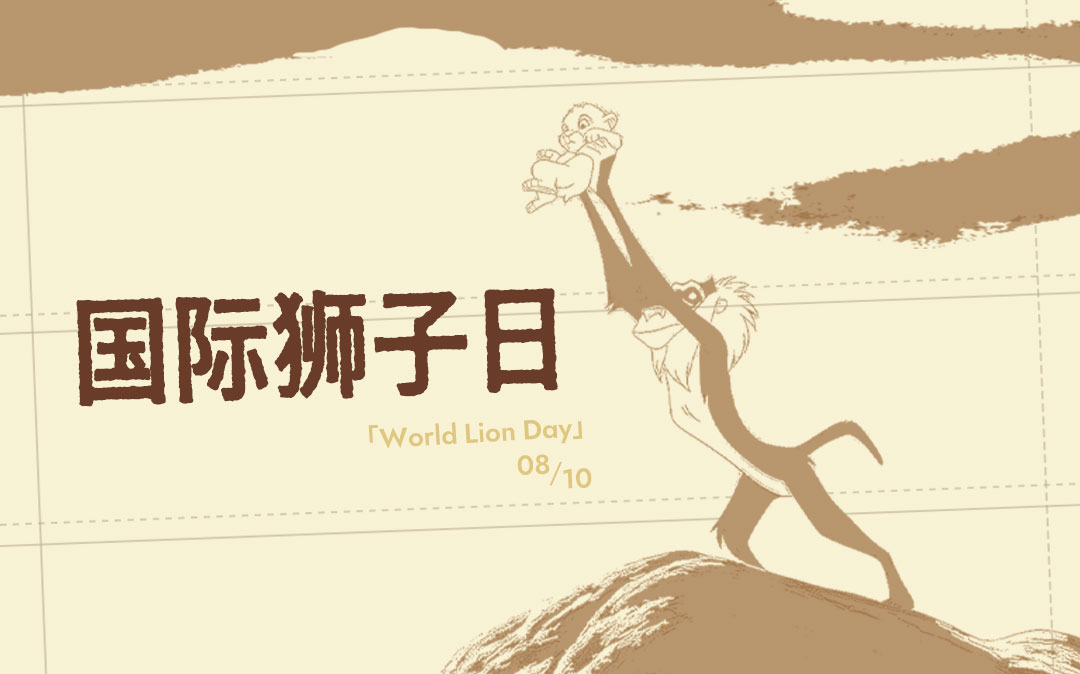 世界狮子日 | 长大后再看《狮子王》的人们都怎样了?