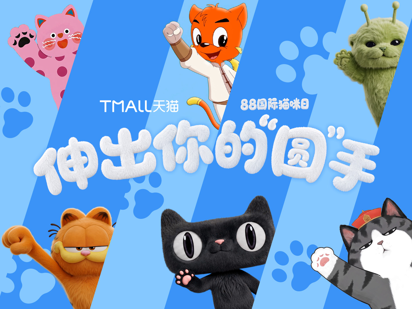 天猫88猫咪日：猫界全明星邀请你一起伸出圆手
