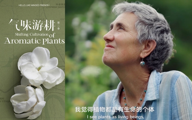 既然内容营销这么卷，干脆做一部代表作