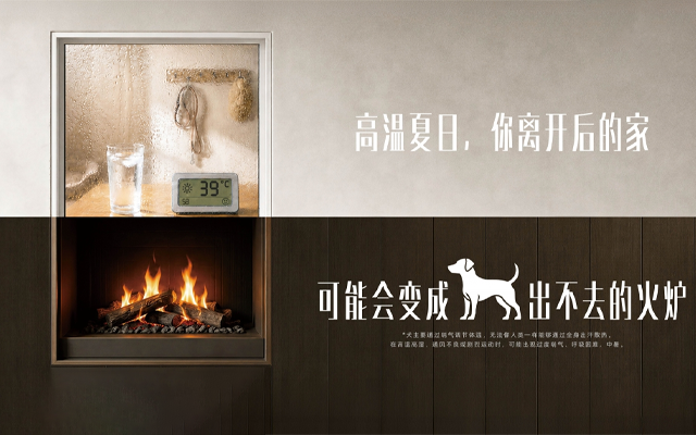 天猫绿动生活：宠物眼里的家，和我们想的有点不一样