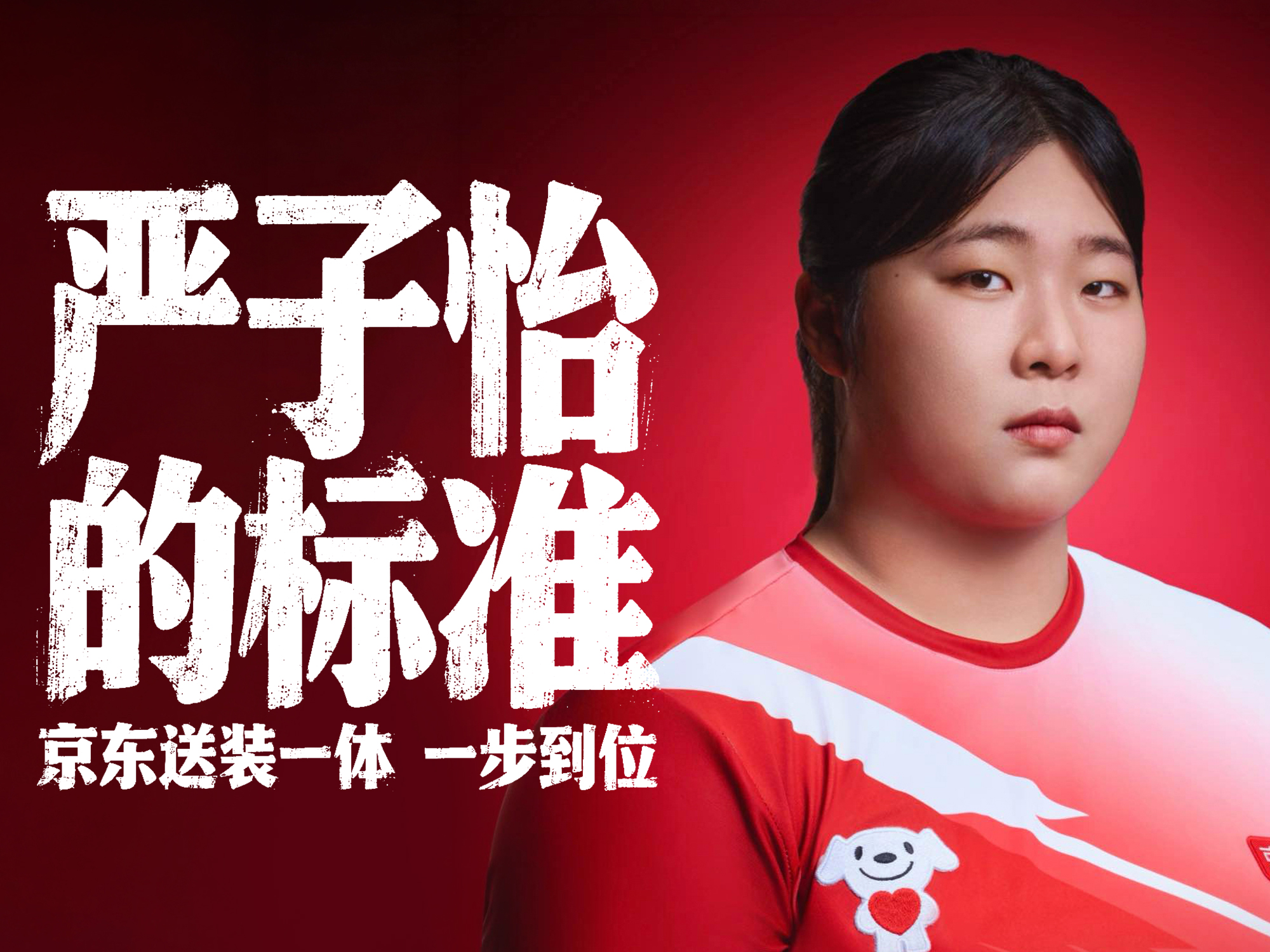 京东送装一体，认准严（子怡）的标准