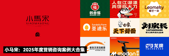 小马宋：2025年度营销咨询案例大合集
