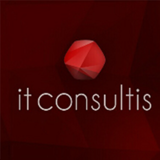 It Consultis 上海