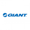 GIANT <em>捷<em>安特</em></em>