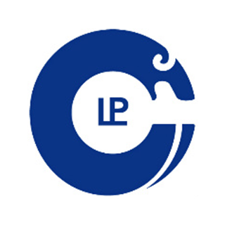 PINGLIAN LOAN 平聯貸