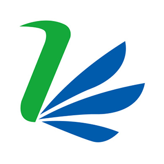 飛揚網