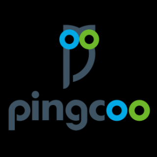 Pingcoo 宾酷