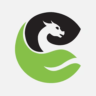 Dragon Social 深圳