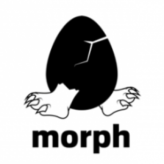 Morph Studio 演化一次