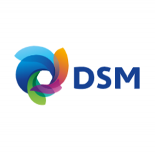 DSM 帝斯曼