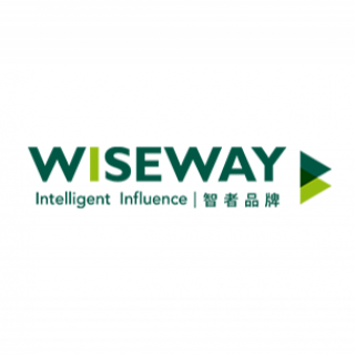 wiseway 智者品牌管理 北京