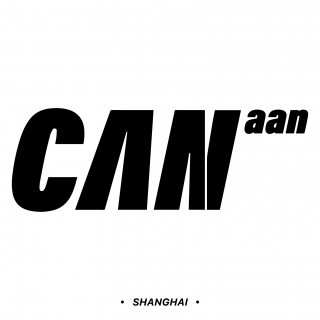 CANaan 上海可能