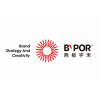 BIPOR 兩極宇禾 上海