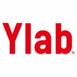 Ylab 品牌战略咨询