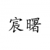 宸曙 上海