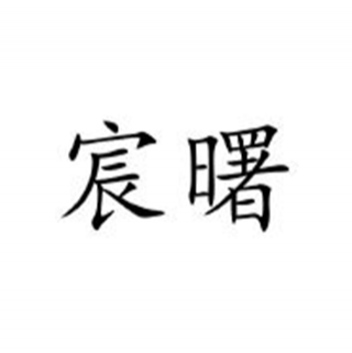 宸曙 上海