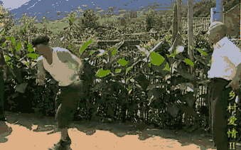 339_211gif 动态图 动图