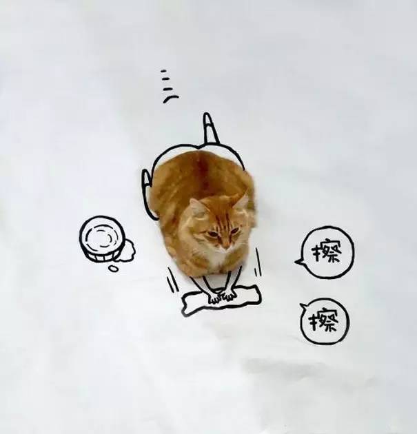 喵喵机是什么东西_喵喵机_喵喵机有必要买吗