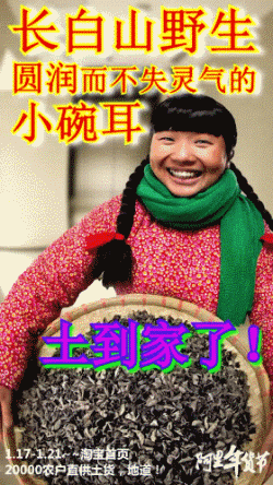 阿里巴巴这套“土到家”的年货节海报,真的是够了! - 数英