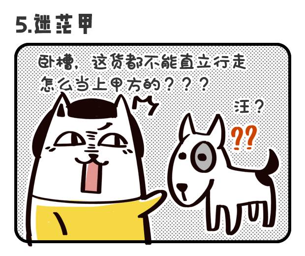 天呐我的甲方是只狗