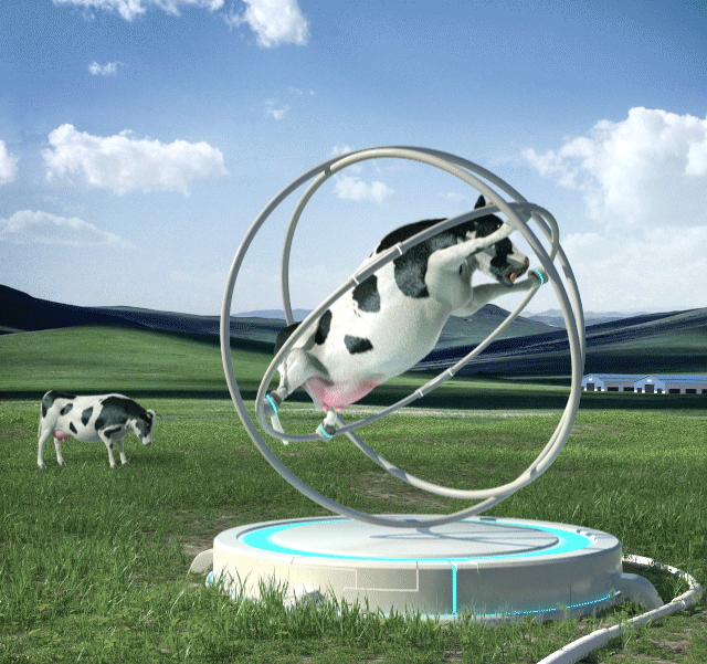 火箭发射当日, 太空奶牛表现沉稳, 十个月的科学训练成果显著!