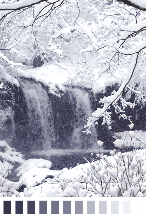 见过会动的配色吗这些gif将大自然的色彩尽收眼底美到窒息