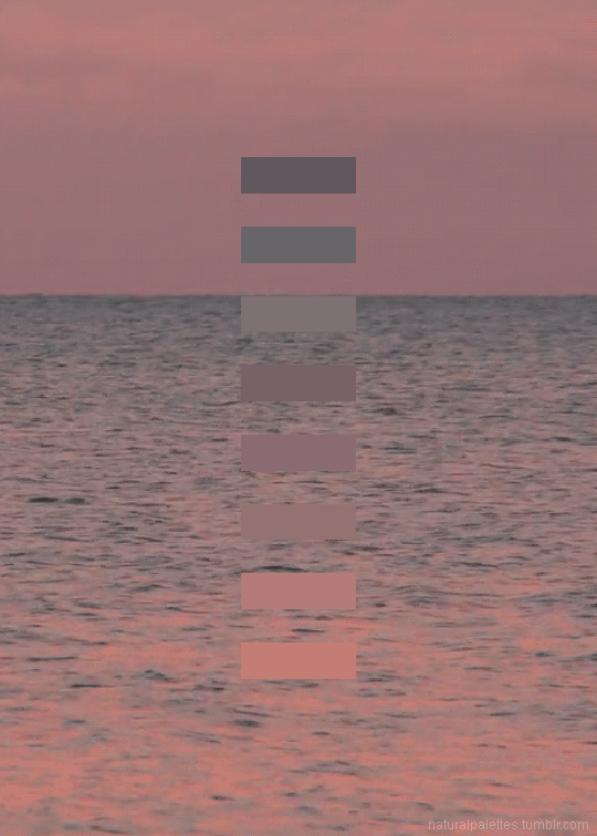 见过会动的配色吗这些gif将大自然的色彩尽收眼底美到窒息