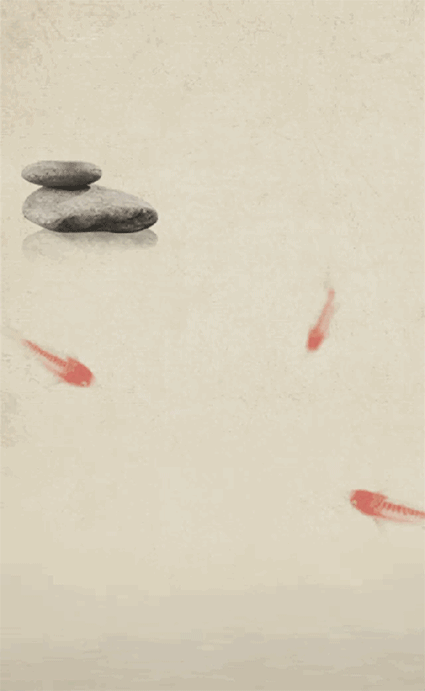 425_691竖版 竖屏gif 动态图 动图