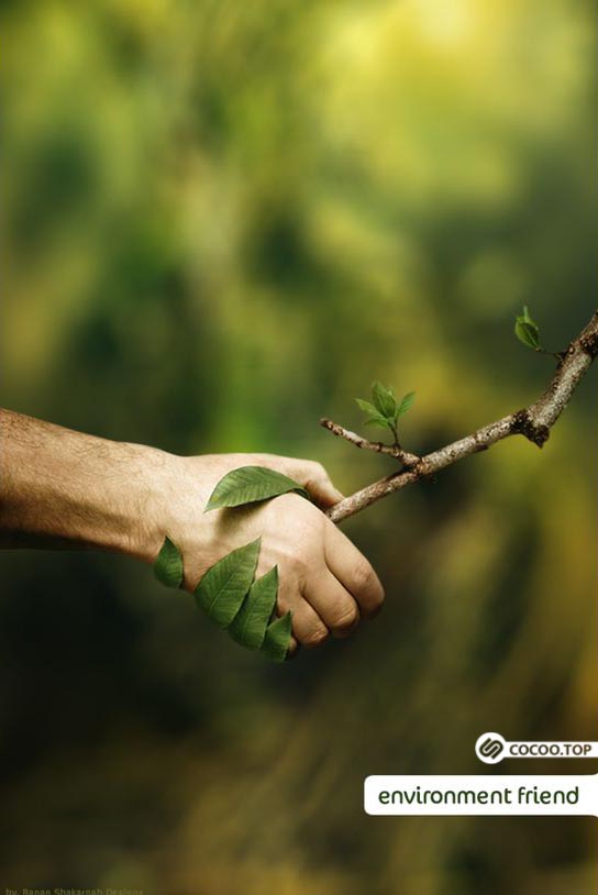 华体会- 华体会体育官网- 华体会体育APP下载如何分析设计作品应该从哪些方面分析