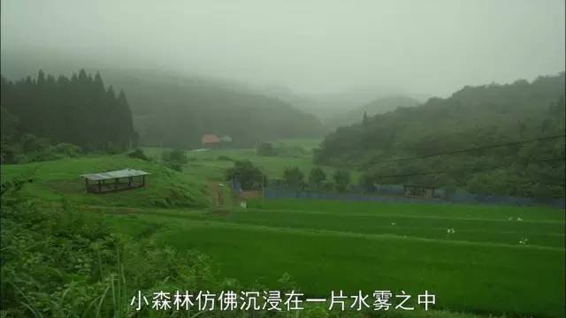 看日本文艺电影《小森林》，学文案写作技巧 - 数英