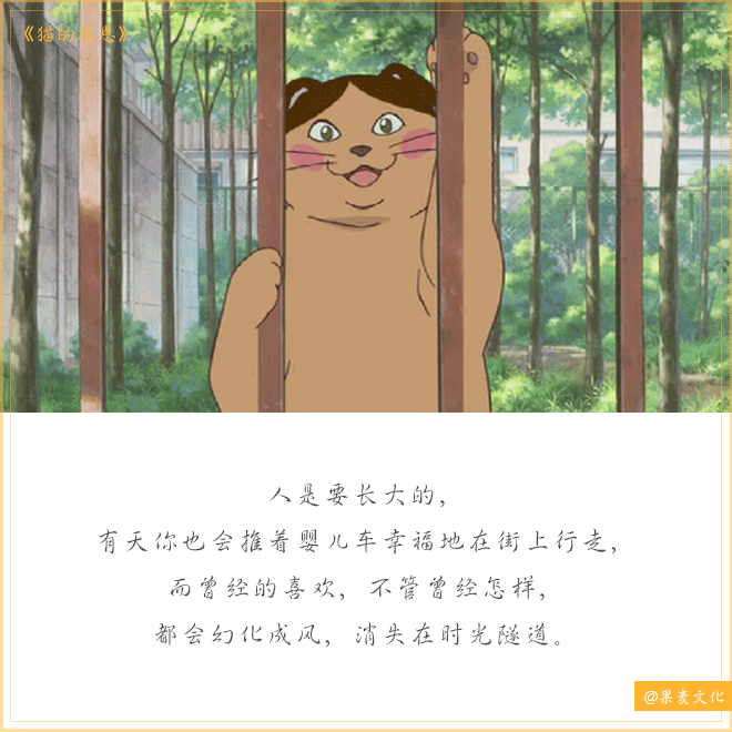 果麦文化的微博文案追热点都那么有腔调文案合集