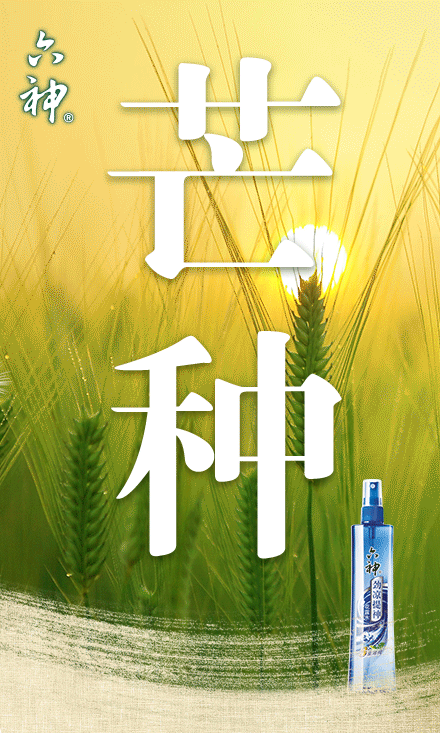 『六神清怡冰爽沐浴露』,清凉一夏从它开始~ 万物"小得盈满" 夏熟