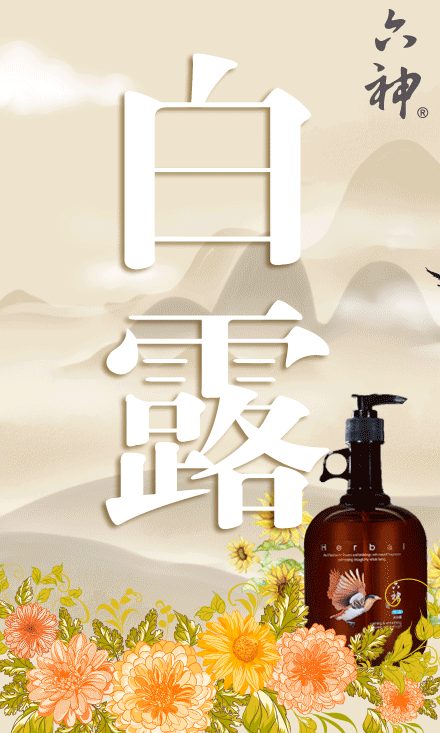 六神二十四节气海报打包送给你,陪你一起品味四季