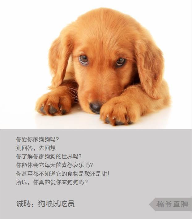 看完这些招聘文案,我准备辞职