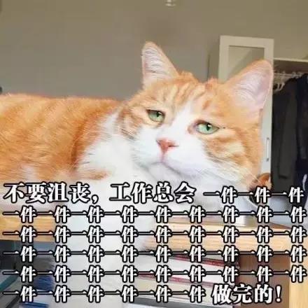 回家睡4小时继续跑去工作到晚上9点,还好有其他四个加班狗陪着