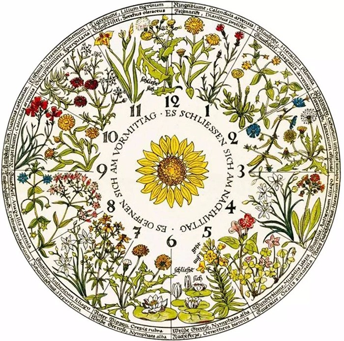 这些将「时间」物化的艺术设计,实在是妙不可言!