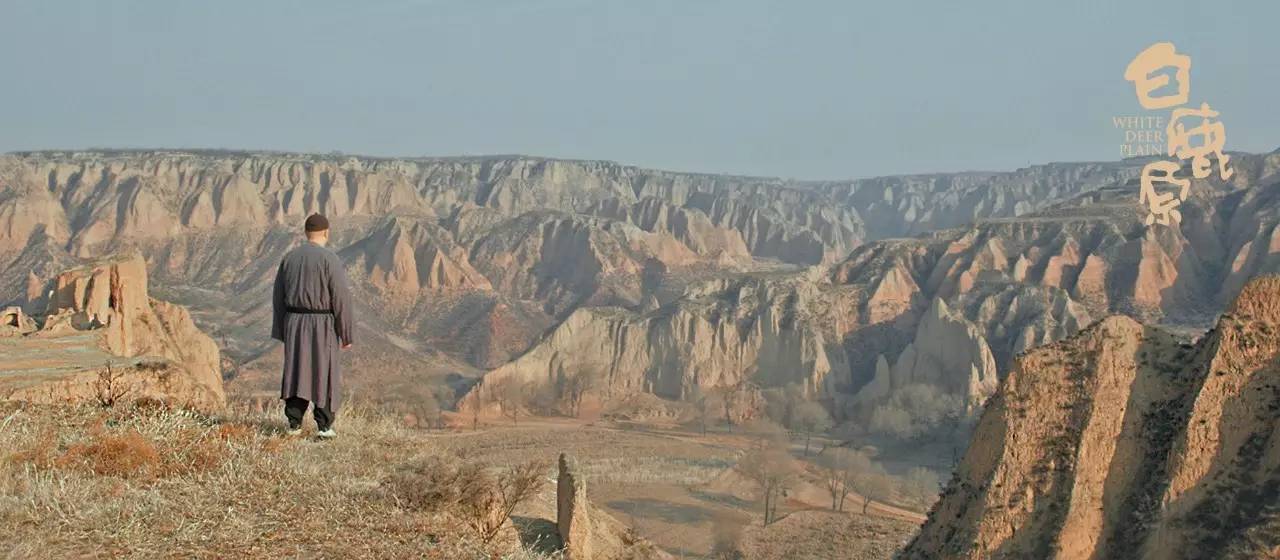 白鹿原复播豆瓣评分90它的影像美学我打10分